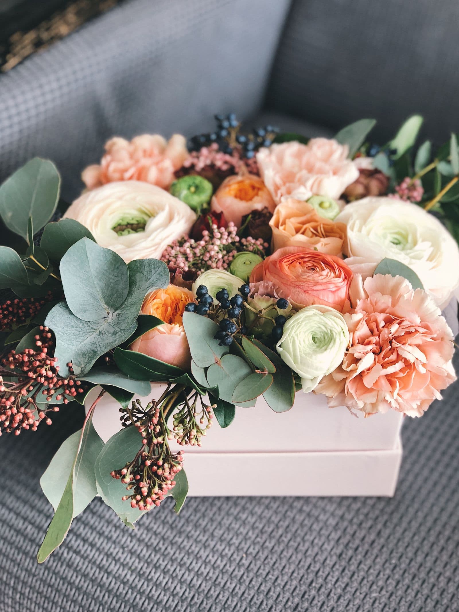Maison Terre, spring line